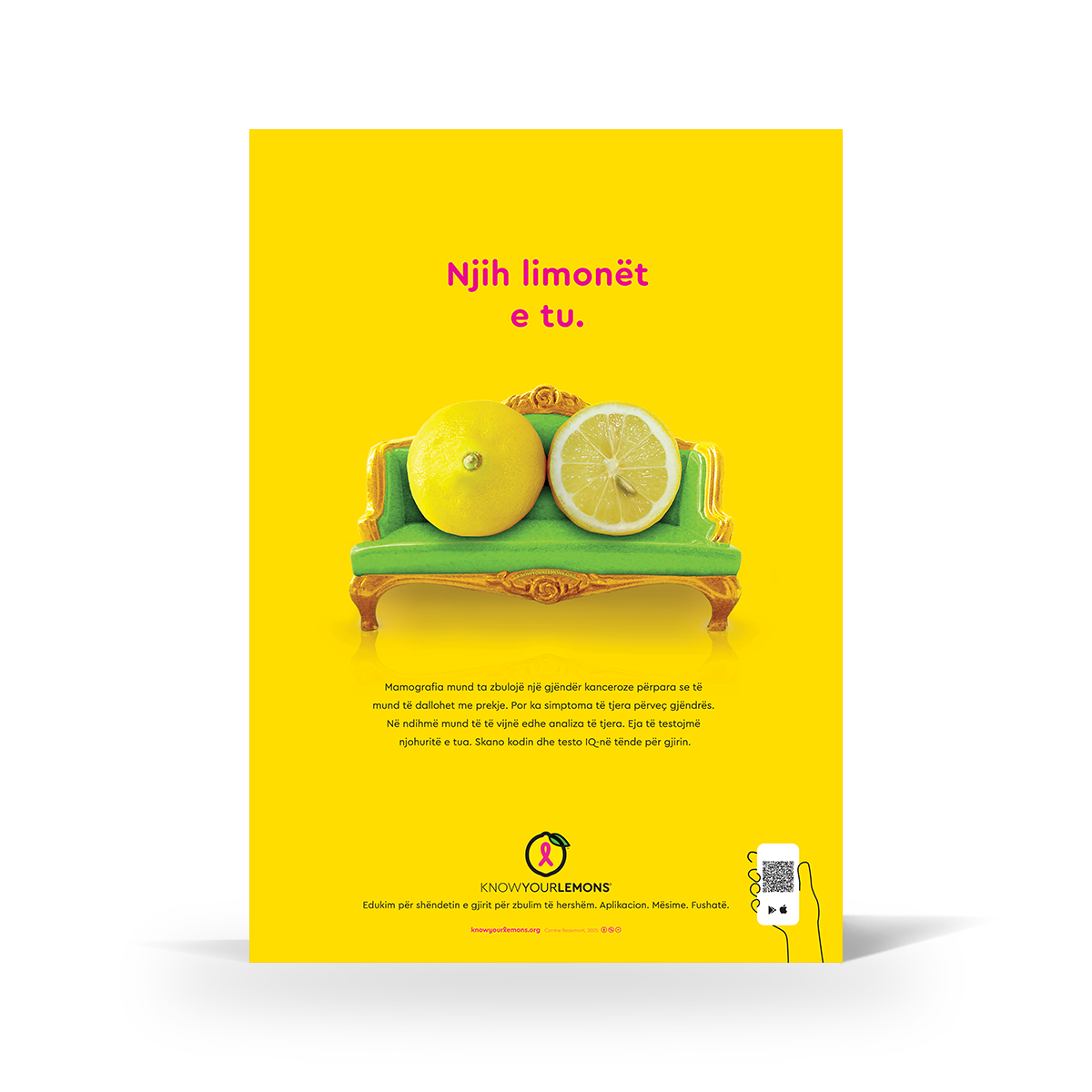 Know Your Lemons Mammogram Poster - Know Your Lemons Breast Cancer Awareness Shop