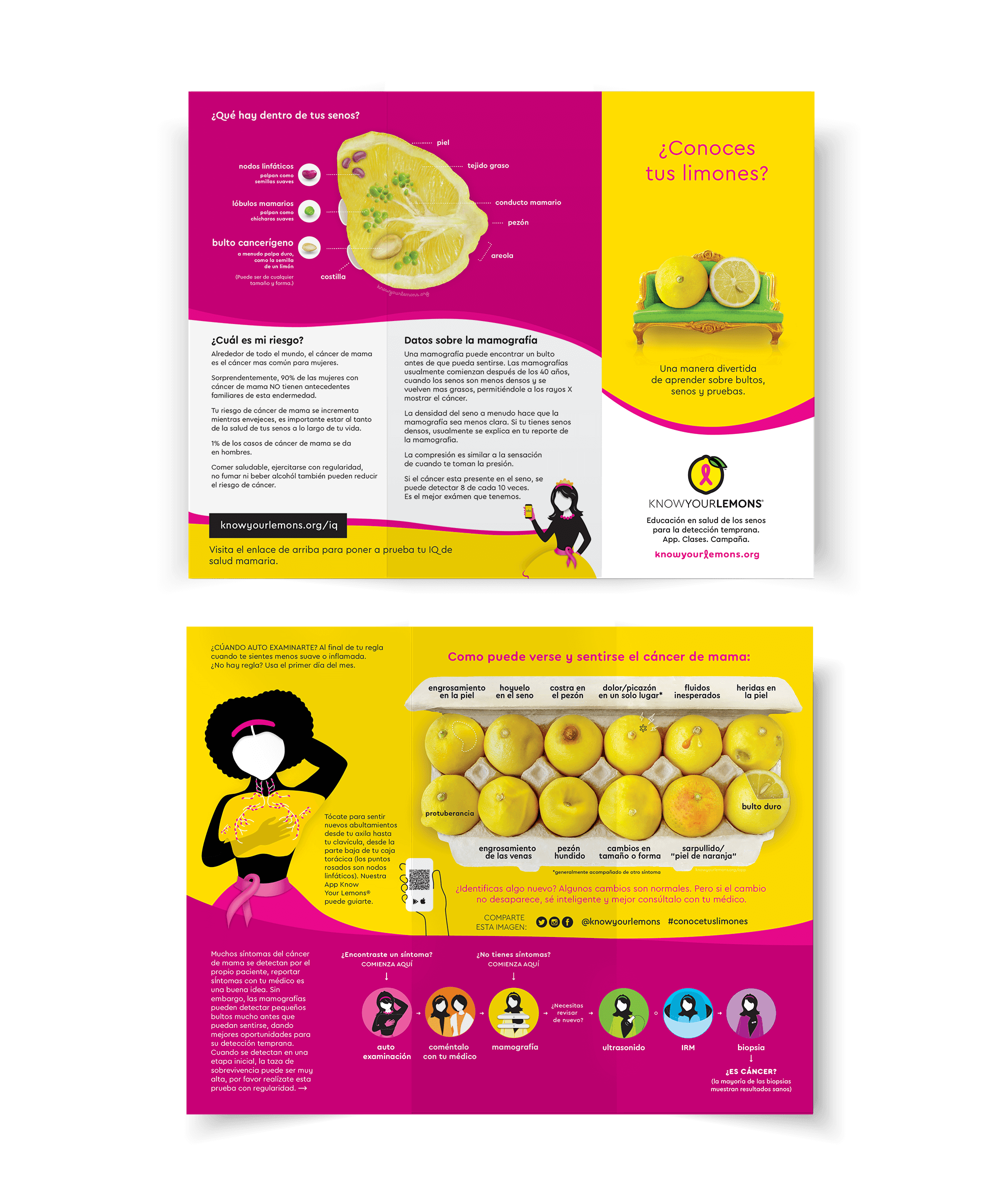 Know Your Lemons Breast Cancer Awareness Trifold Brochure Leaflet (customizable, multiple languages) - Know Your Lemons Breast Cancer Awareness Shop