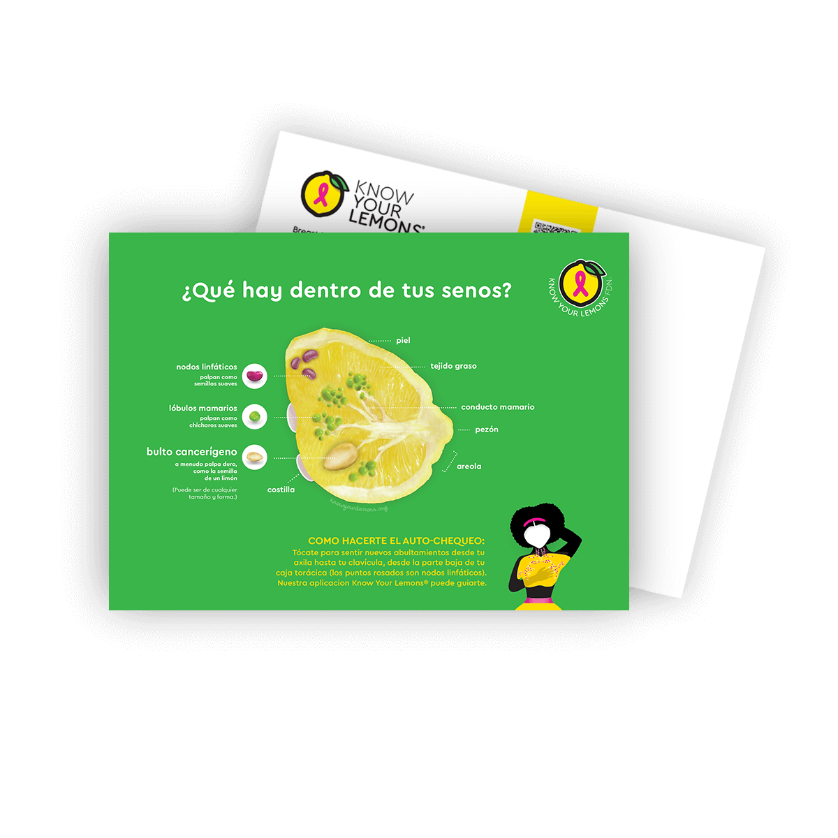 Breast Self-Exam Postcard Packs (customizable, multiple languages) - Know Your Lemons Breast Cancer Awareness Shop