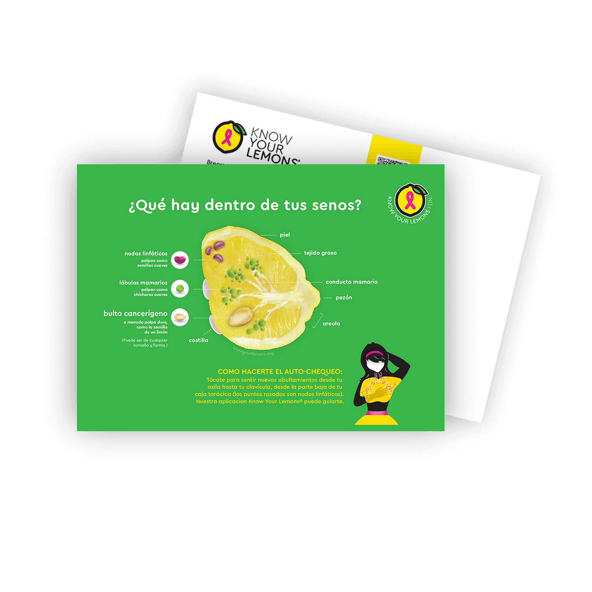 Cobranded Partner Breast Self-Exam Postcard Packs (customizable for partners, multiple languages) - Know Your Lemons Breast Cancer Awareness Shop