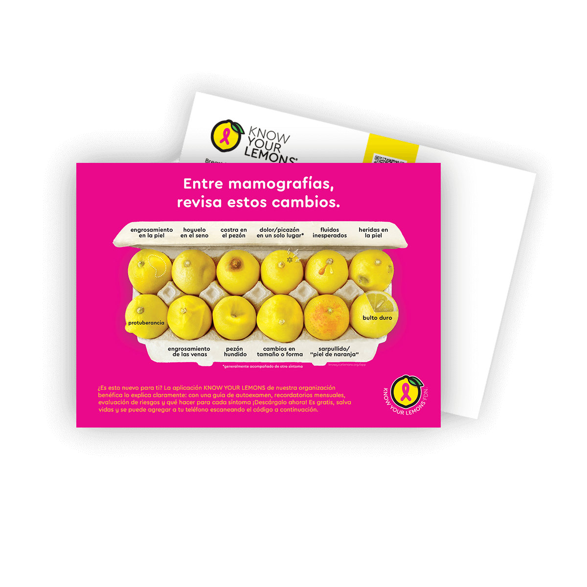 Mammogram Version of 12 Signs of Breast Cancer Awareness Postcard Packs (multiple languages) - Know Your Lemons Breast Cancer Awareness Shop