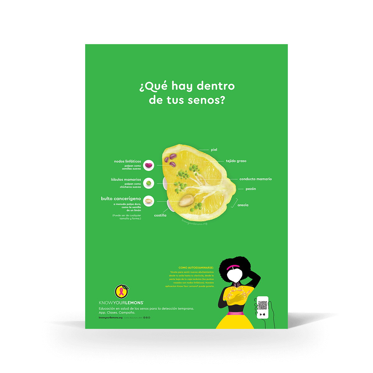 Breast Self-Exam Poster - Know Your Lemons Breast Cancer Awareness Shop