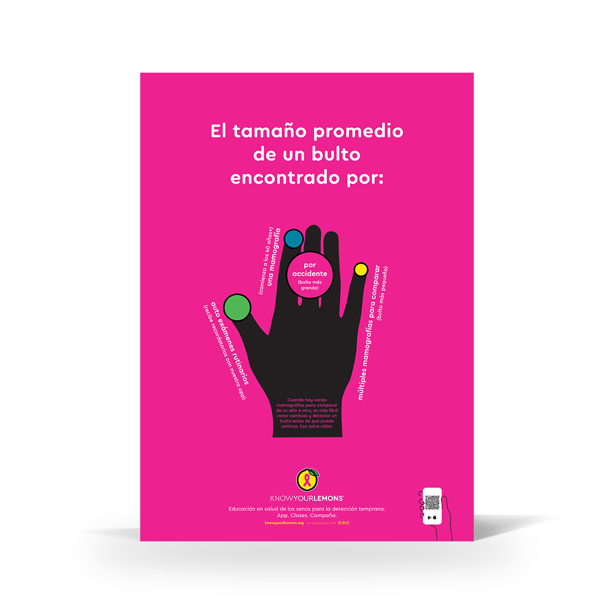 Lump Sizes Poster - Know Your Lemons Breast Cancer Awareness Shop