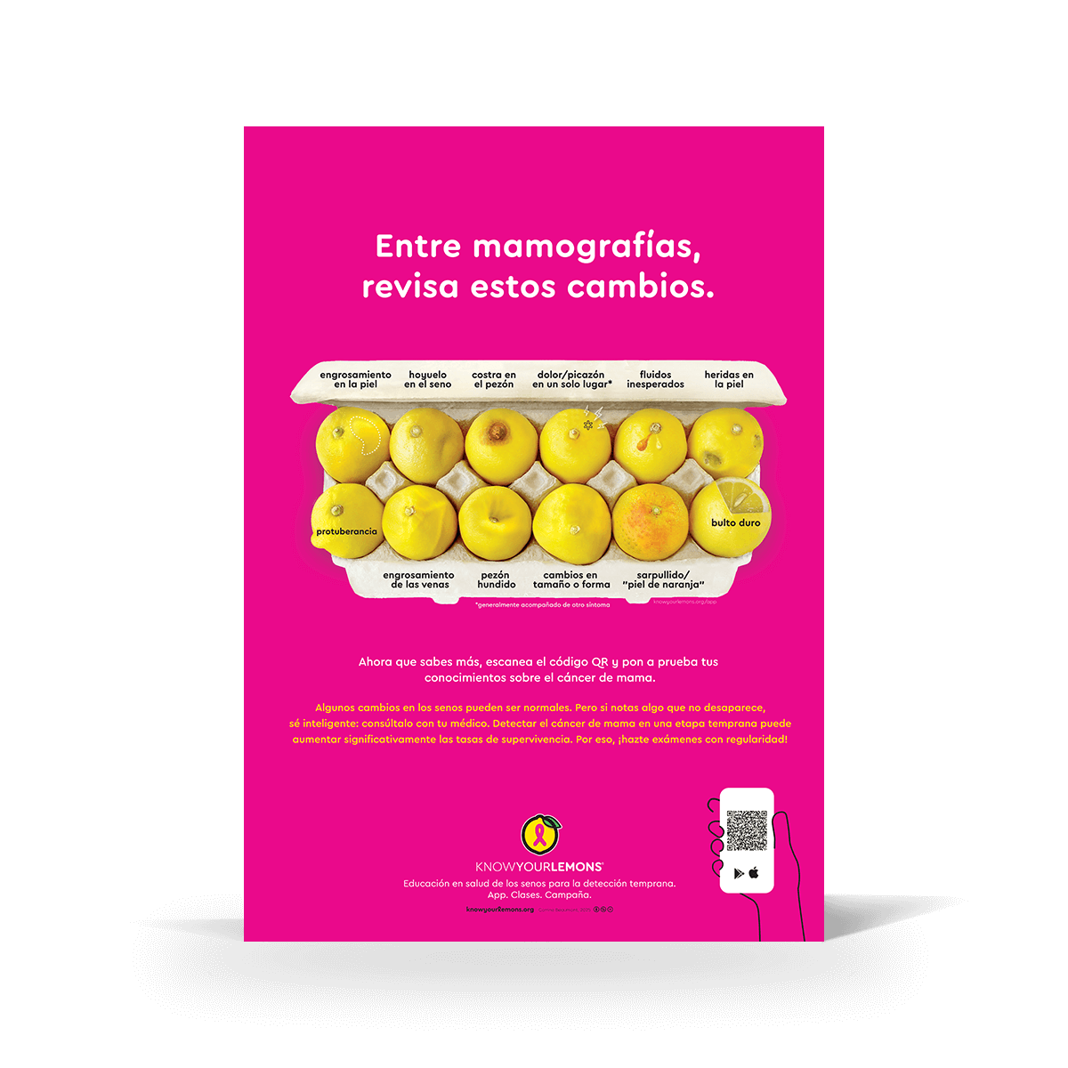 Mammogram 12 Signs of Breast Cancer Poster (multiple languages) - Know Your Lemons Breast Cancer Awareness Shop