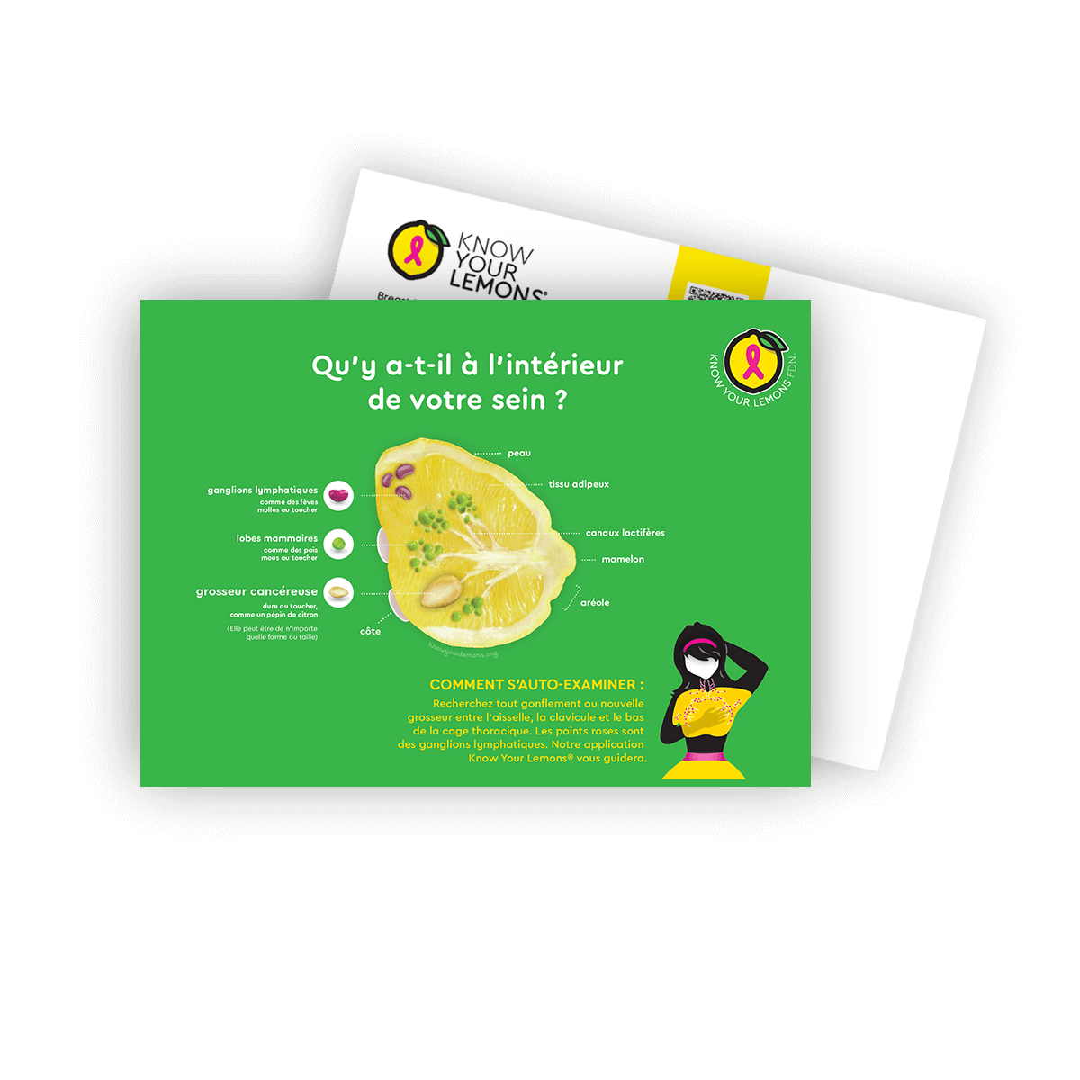 Cobranded Partner Breast Self-Exam Postcard Packs (customizable for partners, multiple languages) - Know Your Lemons Breast Cancer Awareness Shop