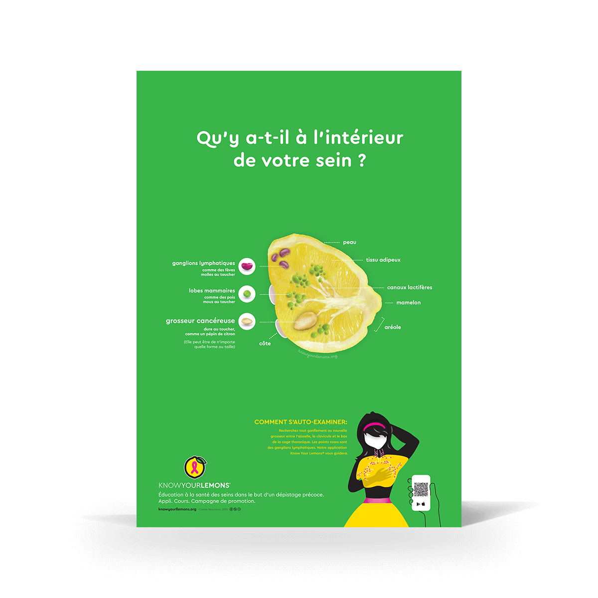 Breast Self-Exam Poster - Know Your Lemons Breast Cancer Awareness Shop