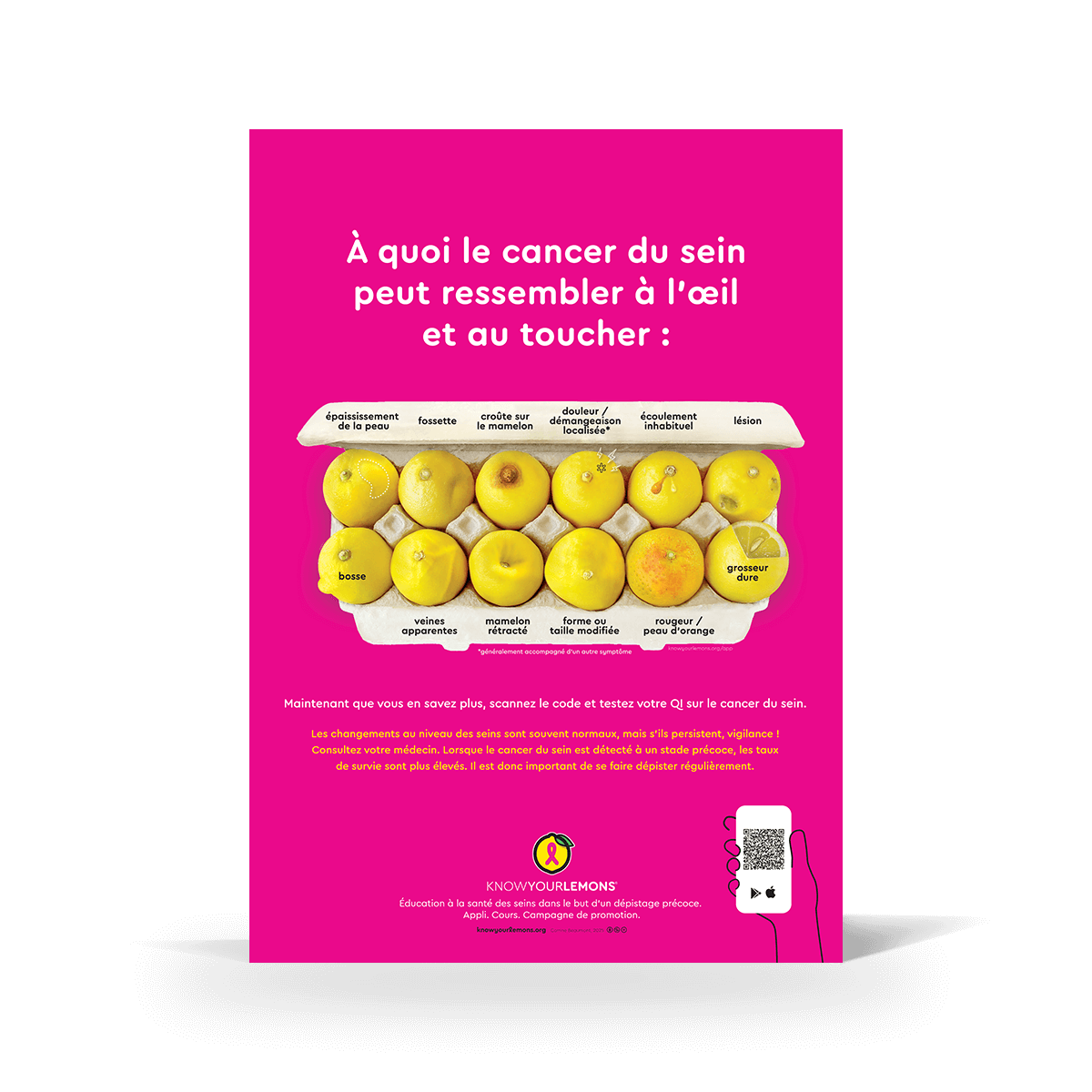 Look + Feel 12 Signs of Breast Cancer Poster (multiple languages) - Know Your Lemons Breast Cancer Awareness Shop