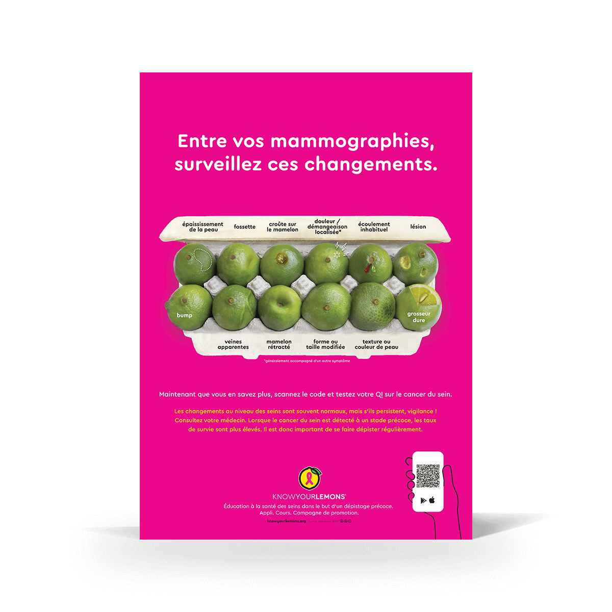 Mammogram 12 Signs of Breast Cancer Poster (multiple languages) - Know Your Lemons Breast Cancer Awareness Shop