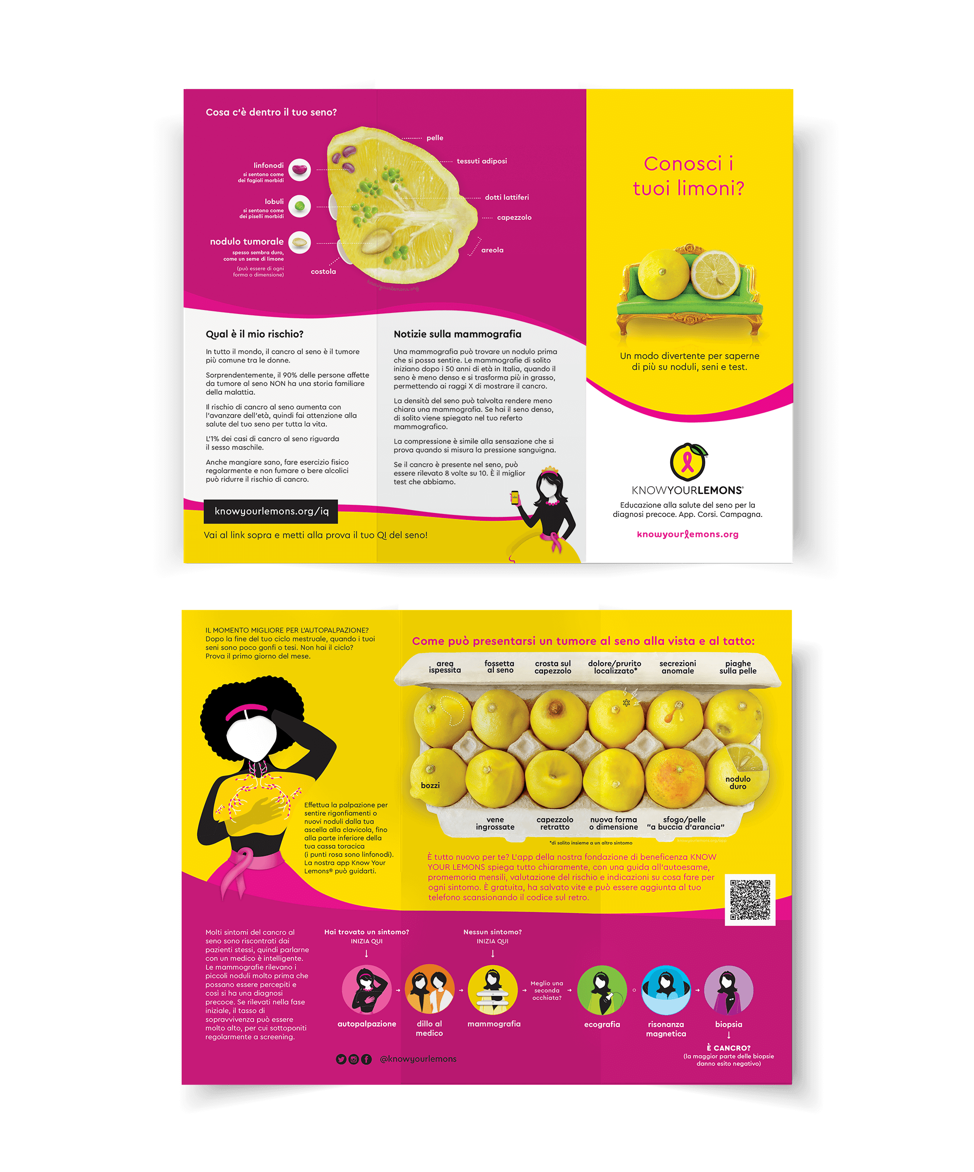 Know Your Lemons Breast Cancer Awareness Trifold Brochure Leaflet (customizable, multiple languages) - Know Your Lemons Breast Cancer Awareness Shop