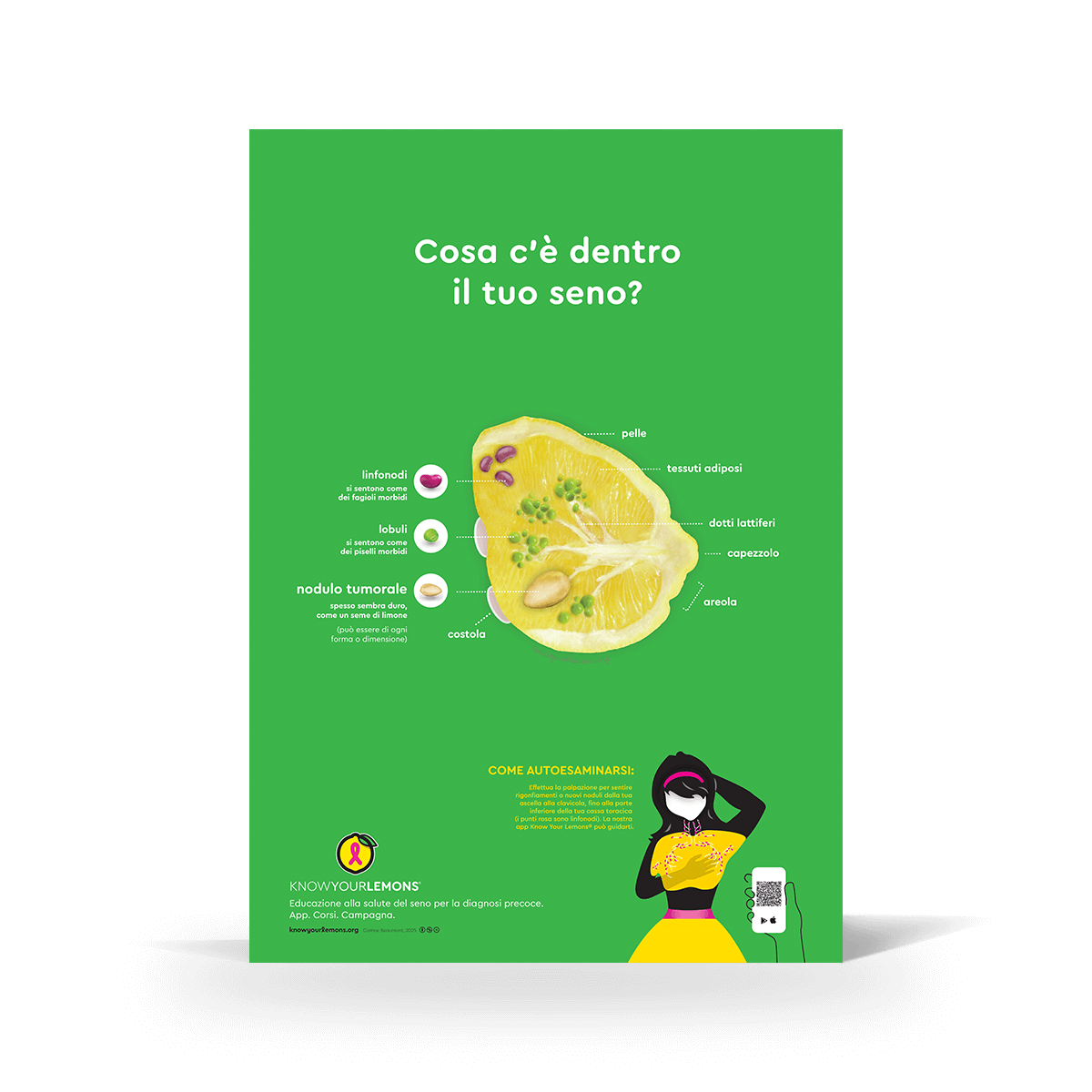 Breast Self-Exam Poster - Know Your Lemons Breast Cancer Awareness