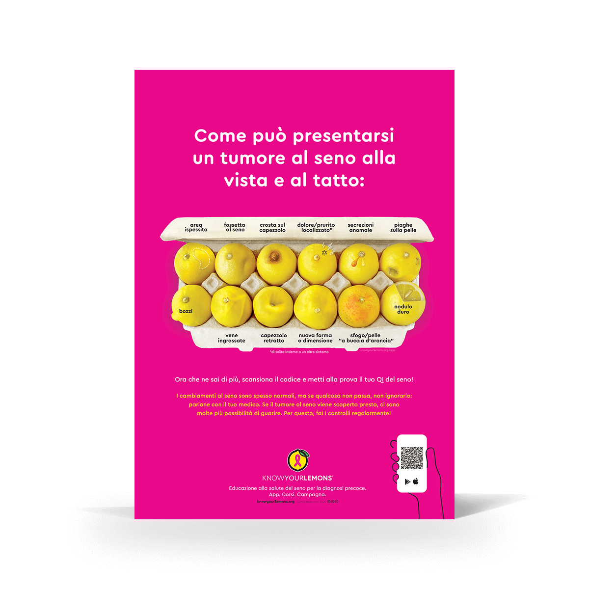 Mammogram 12 Signs of Breast Cancer Poster (multiple languages) - Know Your Lemons Breast Cancer Awareness Shop
