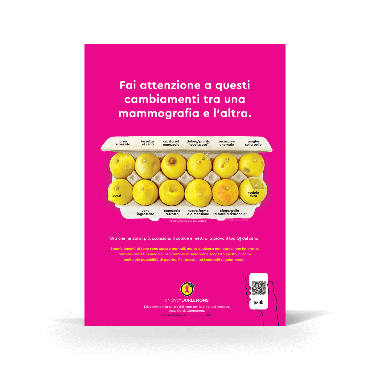 Mammogram 12 Signs of Breast Cancer Poster (multiple languages) - Know Your Lemons Breast Cancer Awareness Shop