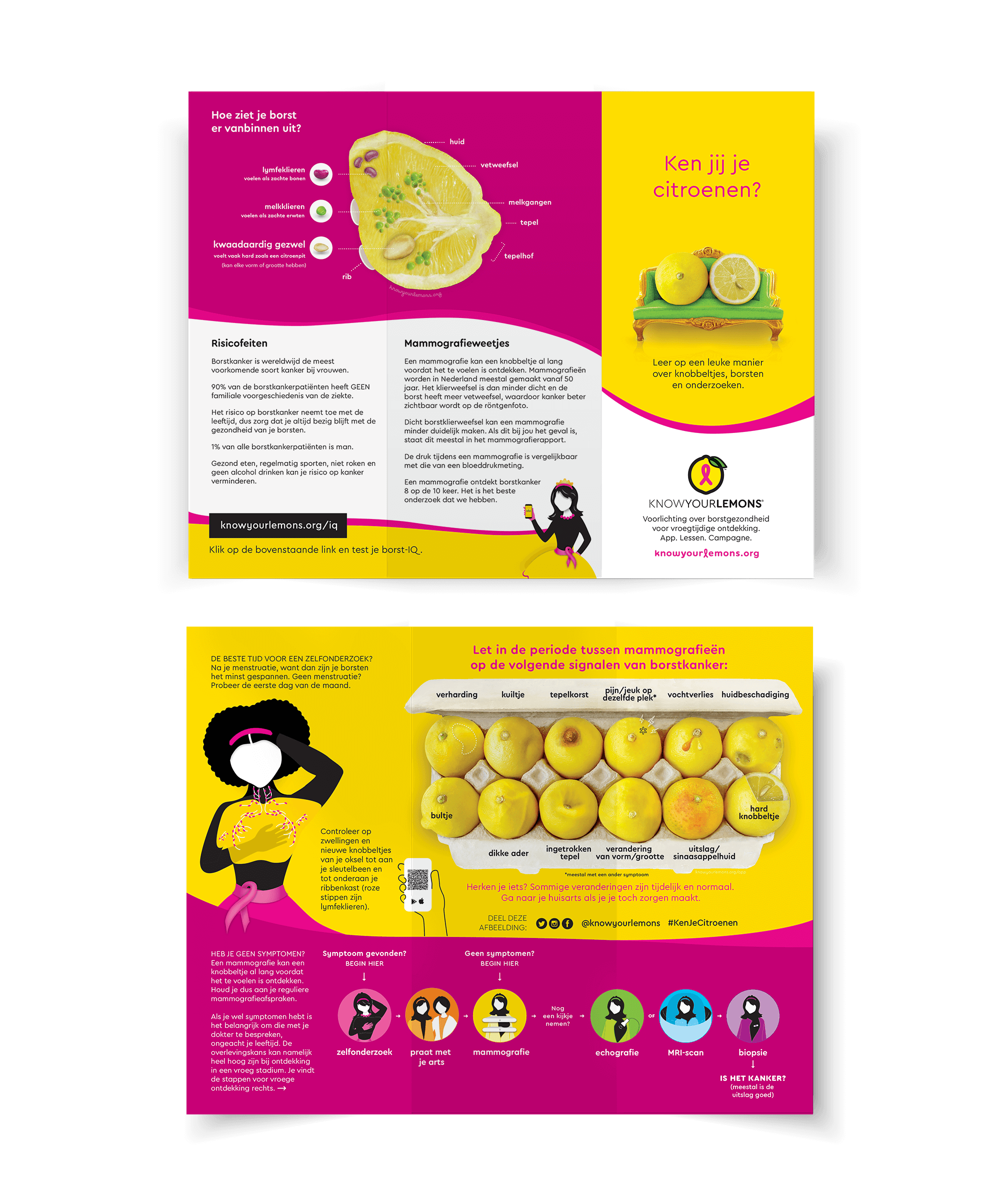 Know Your Lemons Breast Cancer Awareness Trifold Brochure Leaflet (customizable, multiple languages) - Know Your Lemons Breast Cancer Awareness Shop