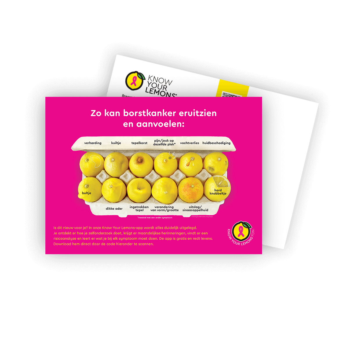 Look + Feel 12 Signs of Breast Cancer Awareness Postcard Packs (multiple languages)