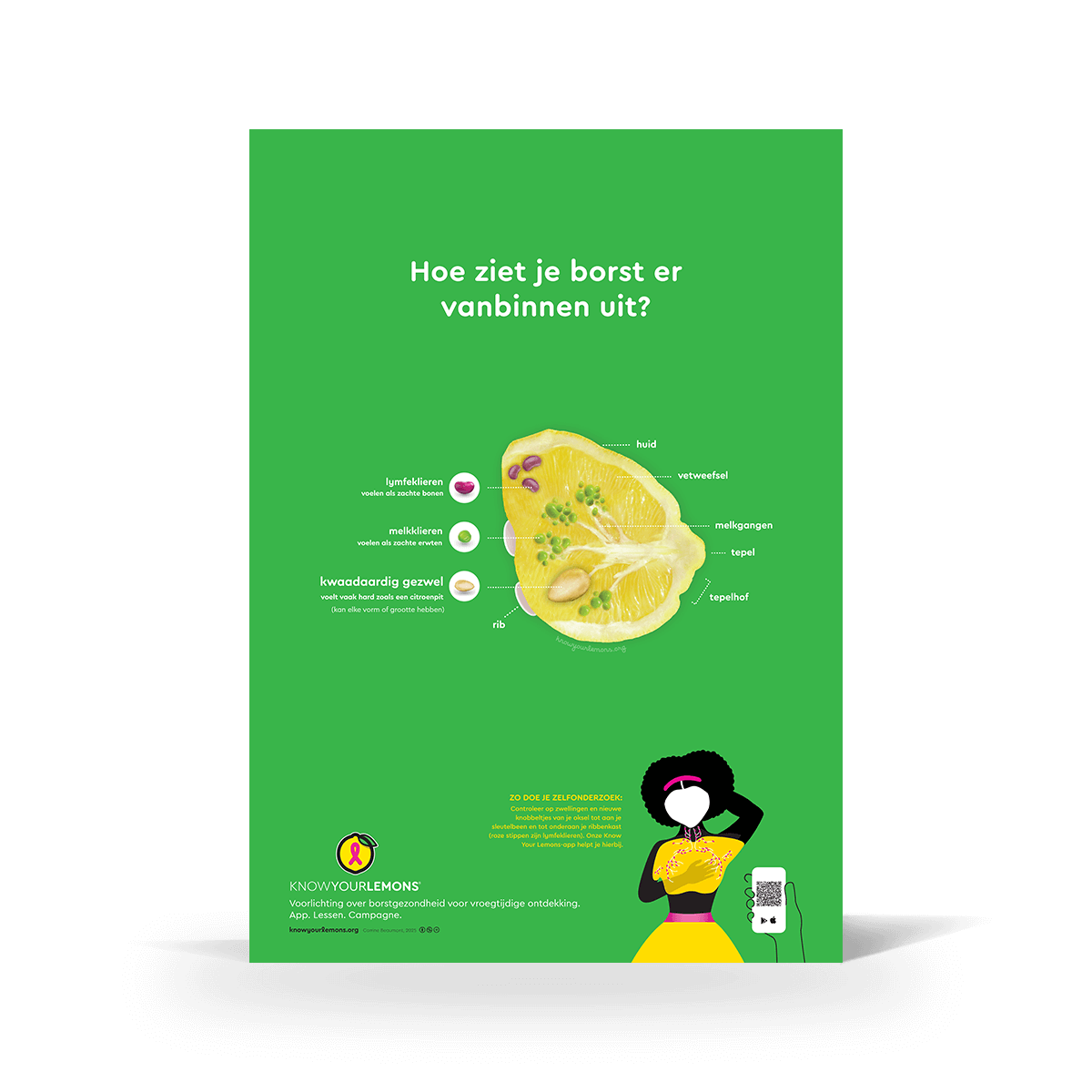 Breast Self-Exam Poster - Know Your Lemons Breast Cancer Awareness Shop