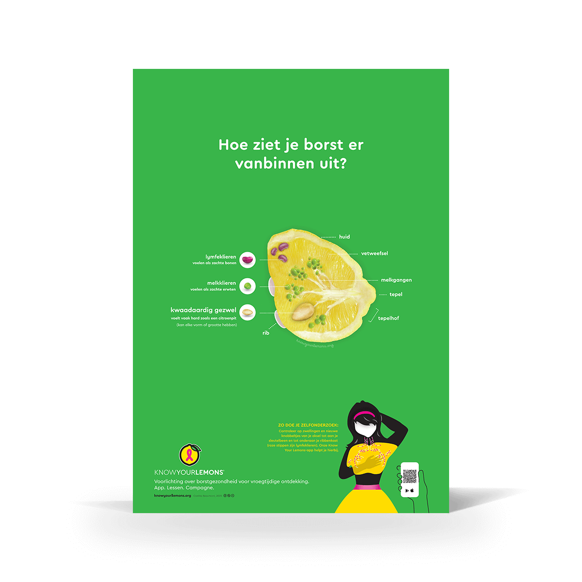 Breast Self-Exam Poster - Know Your Lemons Breast Cancer Awareness Shop