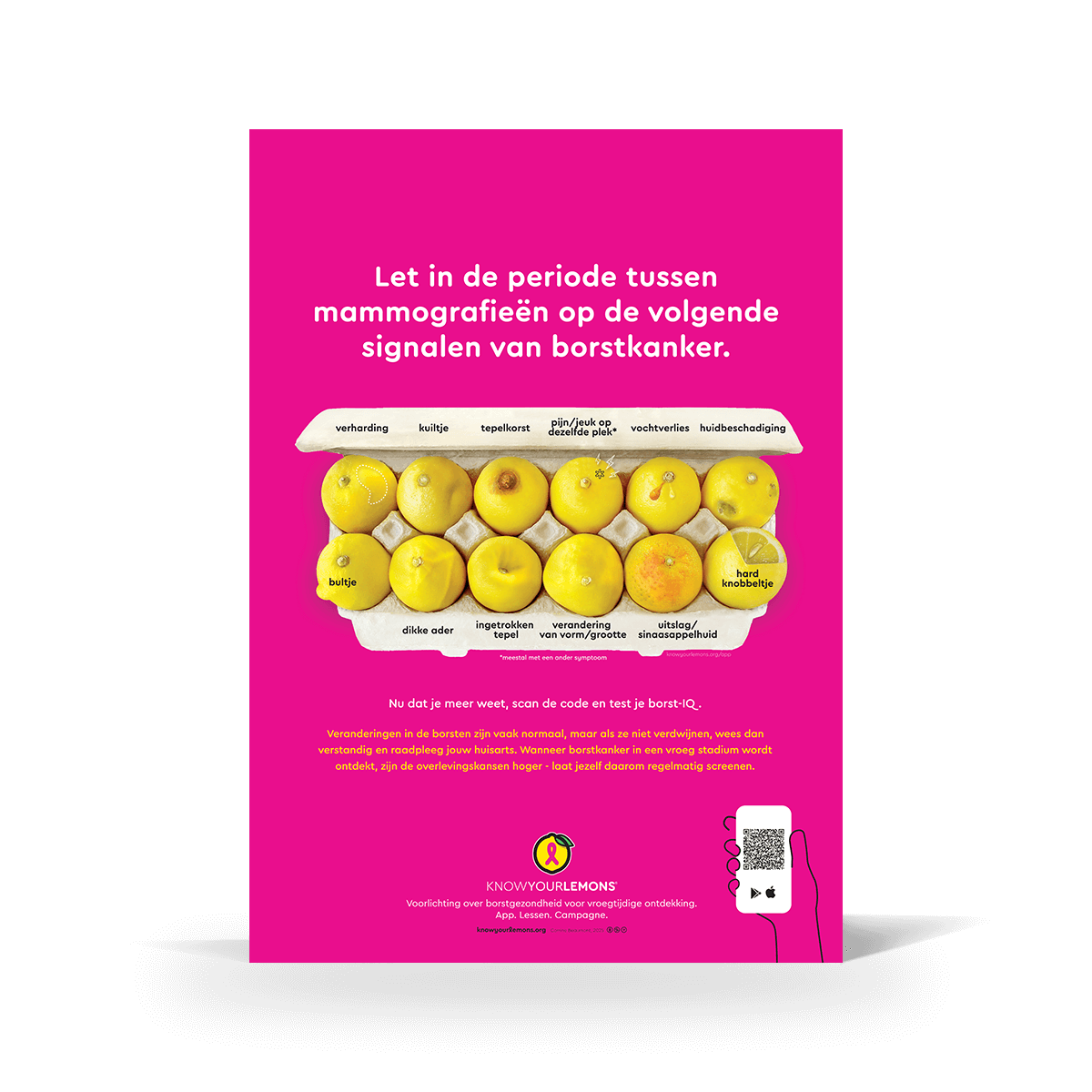 Mammogram 12 Signs of Breast Cancer Poster (multiple languages) - Know Your Lemons Breast Cancer Awareness Shop