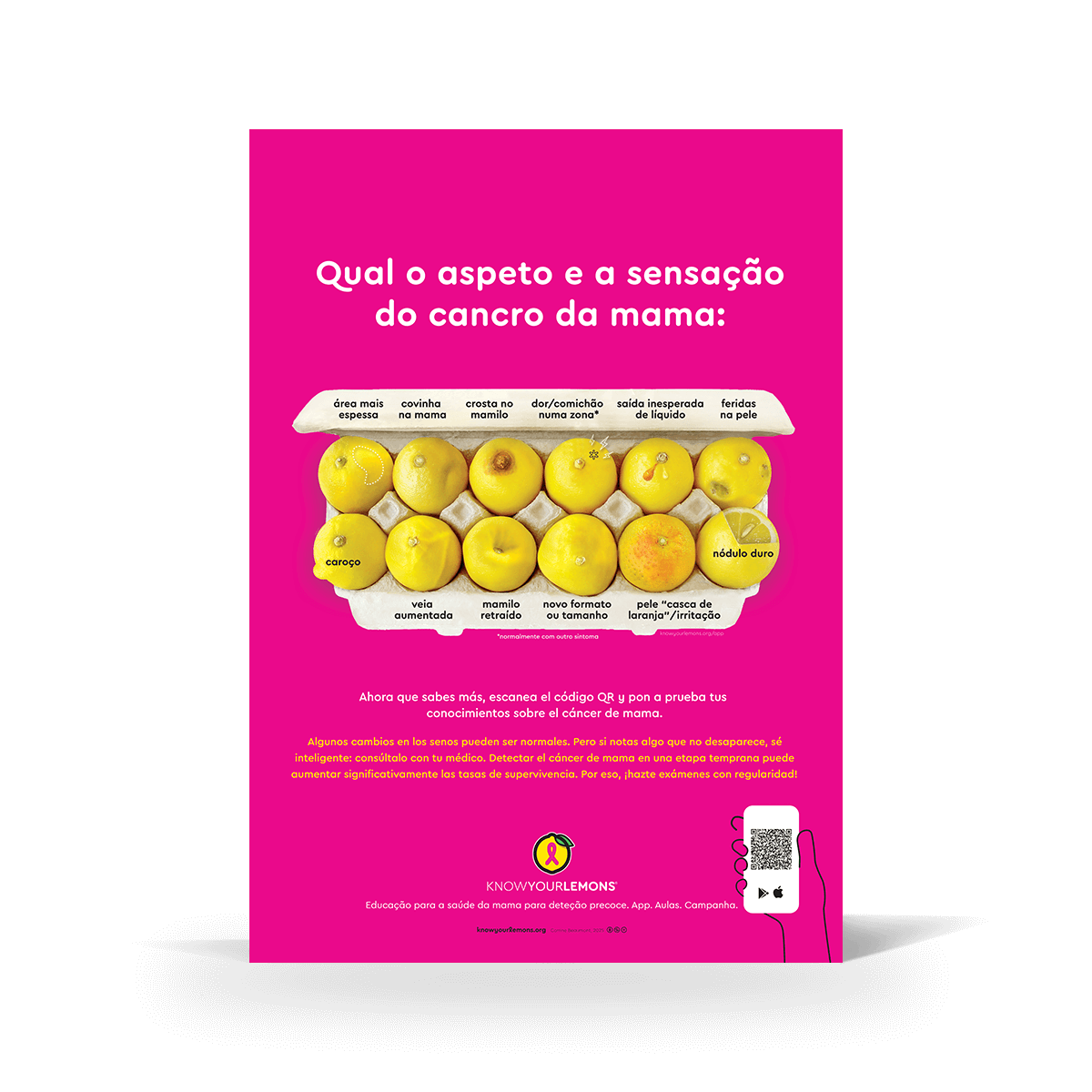 Mammogram 12 Signs of Breast Cancer Poster (multiple languages) - Know Your Lemons Breast Cancer Awareness Shop