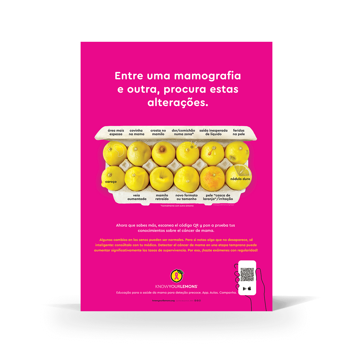 Mammogram 12 Signs of Breast Cancer Poster (multiple languages) - Know Your Lemons Breast Cancer Awareness Shop