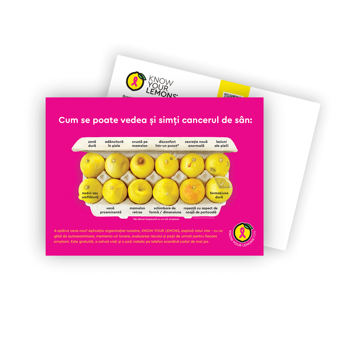 Cobranded Partner Look + Feel 12 Signs of Breast Cancer Awareness Postcard Packs (customizable for partners, multiple languages) - Know Your Lemons Breast Cancer Awareness Shop