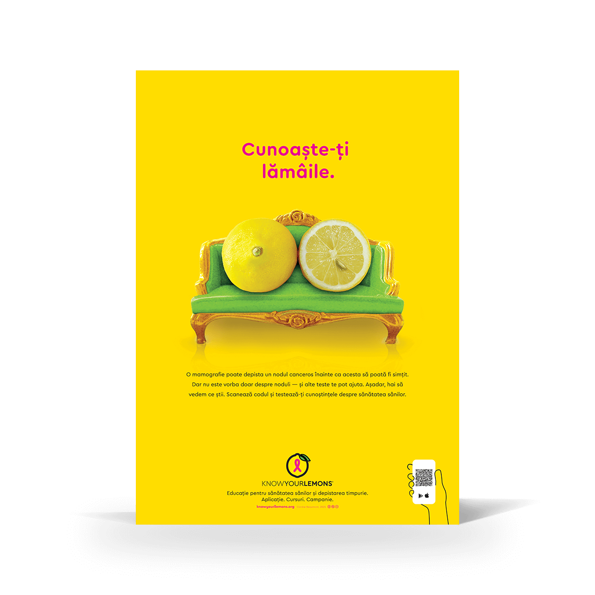 Know Your Lemons Mammogram Poster - Know Your Lemons Breast Cancer Awareness Shop