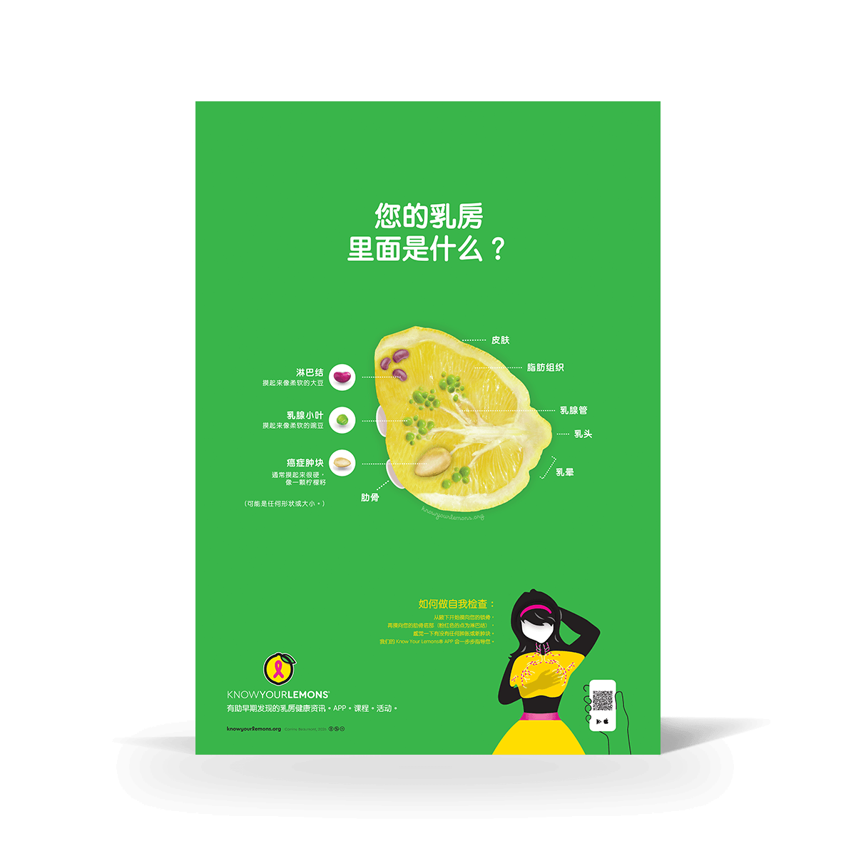 Breast Self-Exam Poster - Know Your Lemons Breast Cancer Awareness Shop