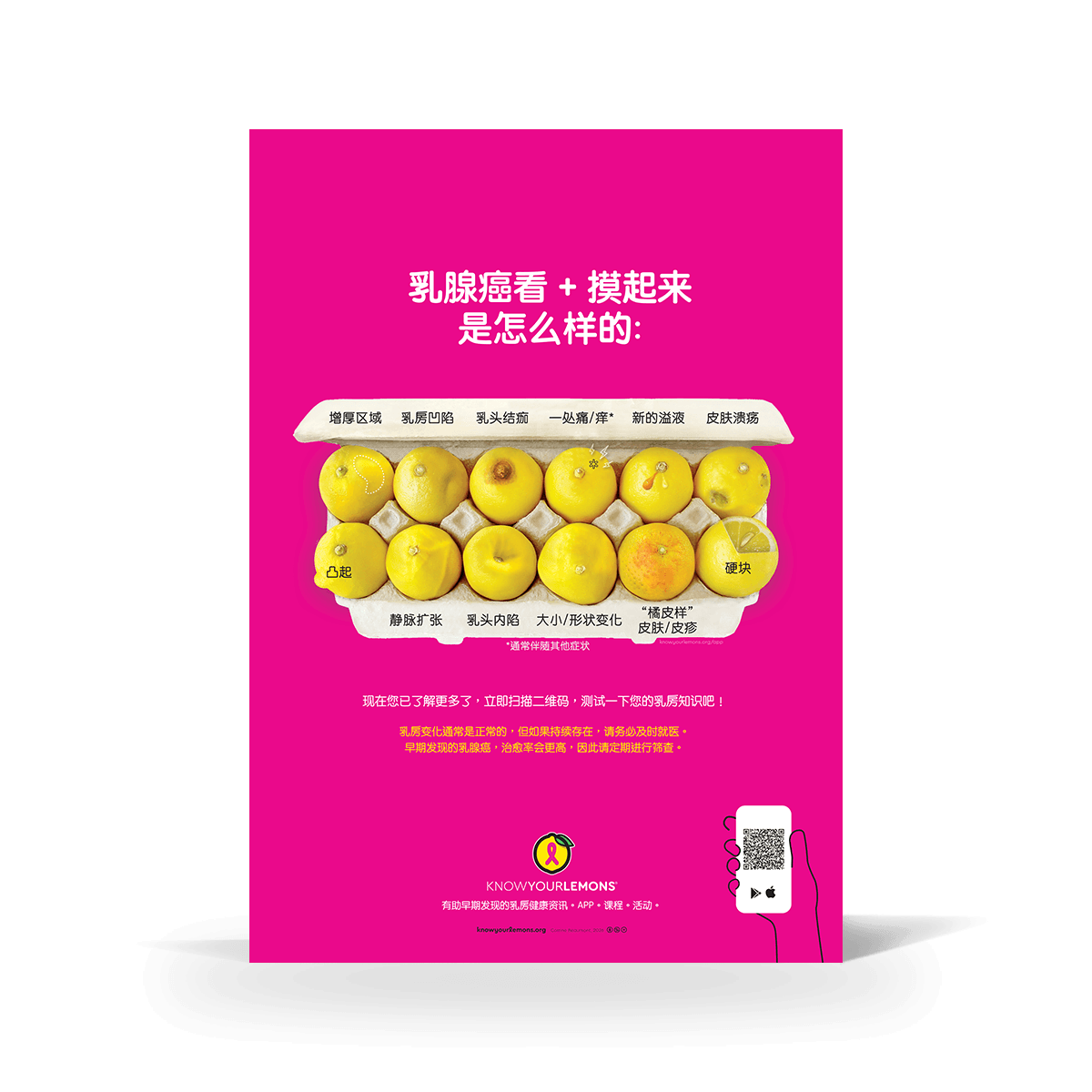 Look + Feel 12 Signs of Breast Cancer Poster (multiple languages)