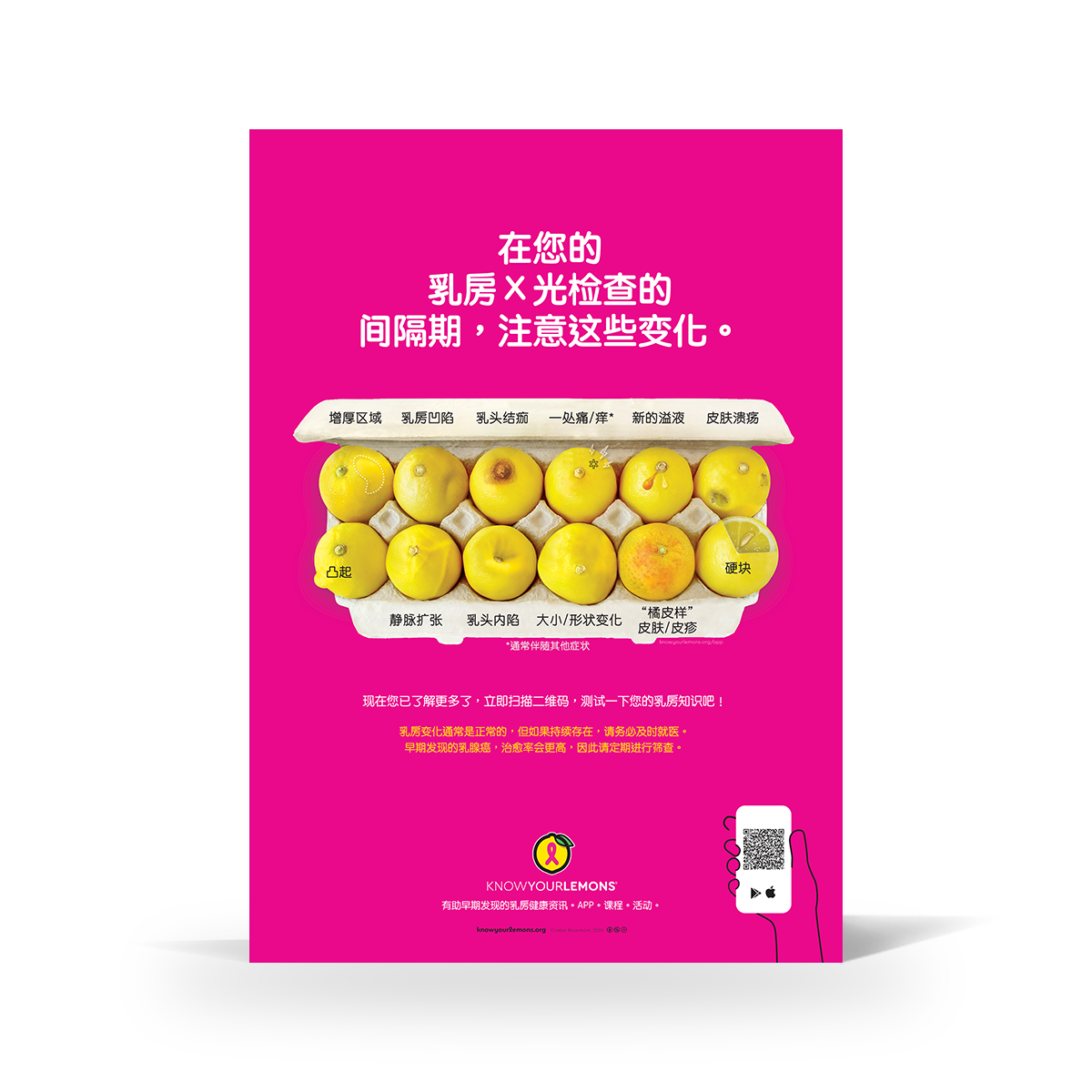 Mammogram 12 Signs of Breast Cancer Poster (multiple languages) - Know Your Lemons Breast Cancer Awareness Shop