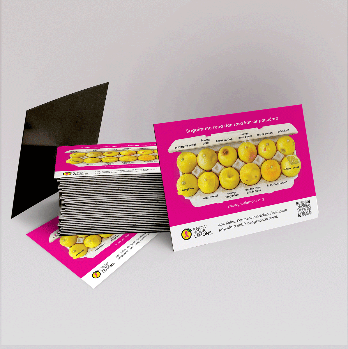 12 Signs of Breast Cancer Magnet (customizable, multiple languages) - Know Your Lemons Breast Cancer Awareness Shop