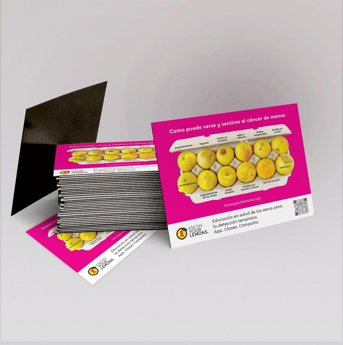 12 Signs of Breast Cancer Magnet (multiple languages) - Know Your Lemons Breast Cancer Awareness Shop