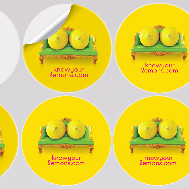 Sheet of 24 Breast Cancer Awareness Stickers - Know Your Lemons Breast Cancer Awareness