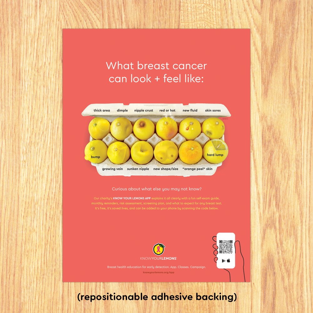 Look + Feel 12 Signs of Breast Cancer Poster (multiple languages) - Know Your Lemons Breast Cancer Awareness Shop
