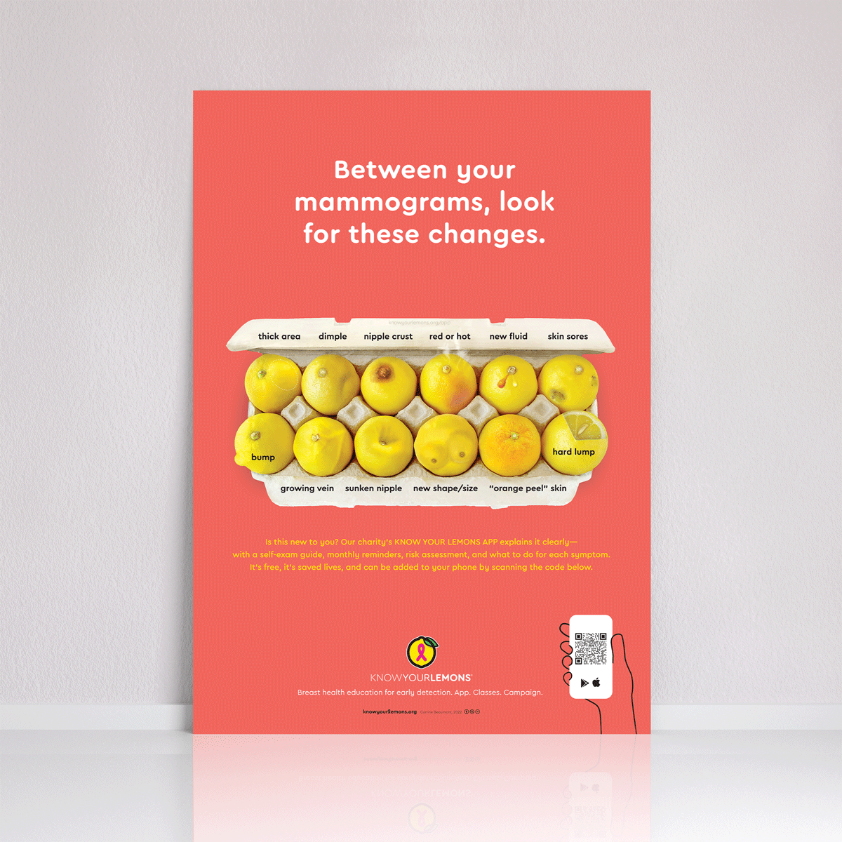 Mammogram 12 Signs of Breast Cancer Poster (multiple languages) - Know Your Lemons Breast Cancer Awareness Shop