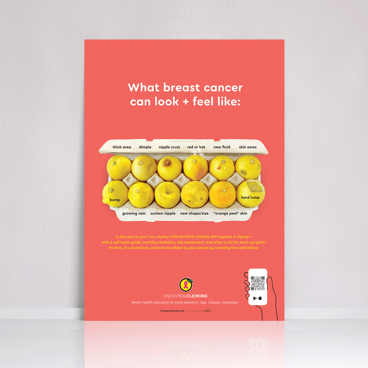 Look + Feel 12 Signs of Breast Cancer Poster (multiple languages) - Know Your Lemons Breast Cancer Awareness Shop