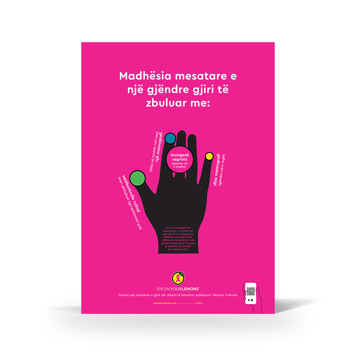 Lump Sizes Poster - Know Your Lemons Breast Cancer Awareness Shop