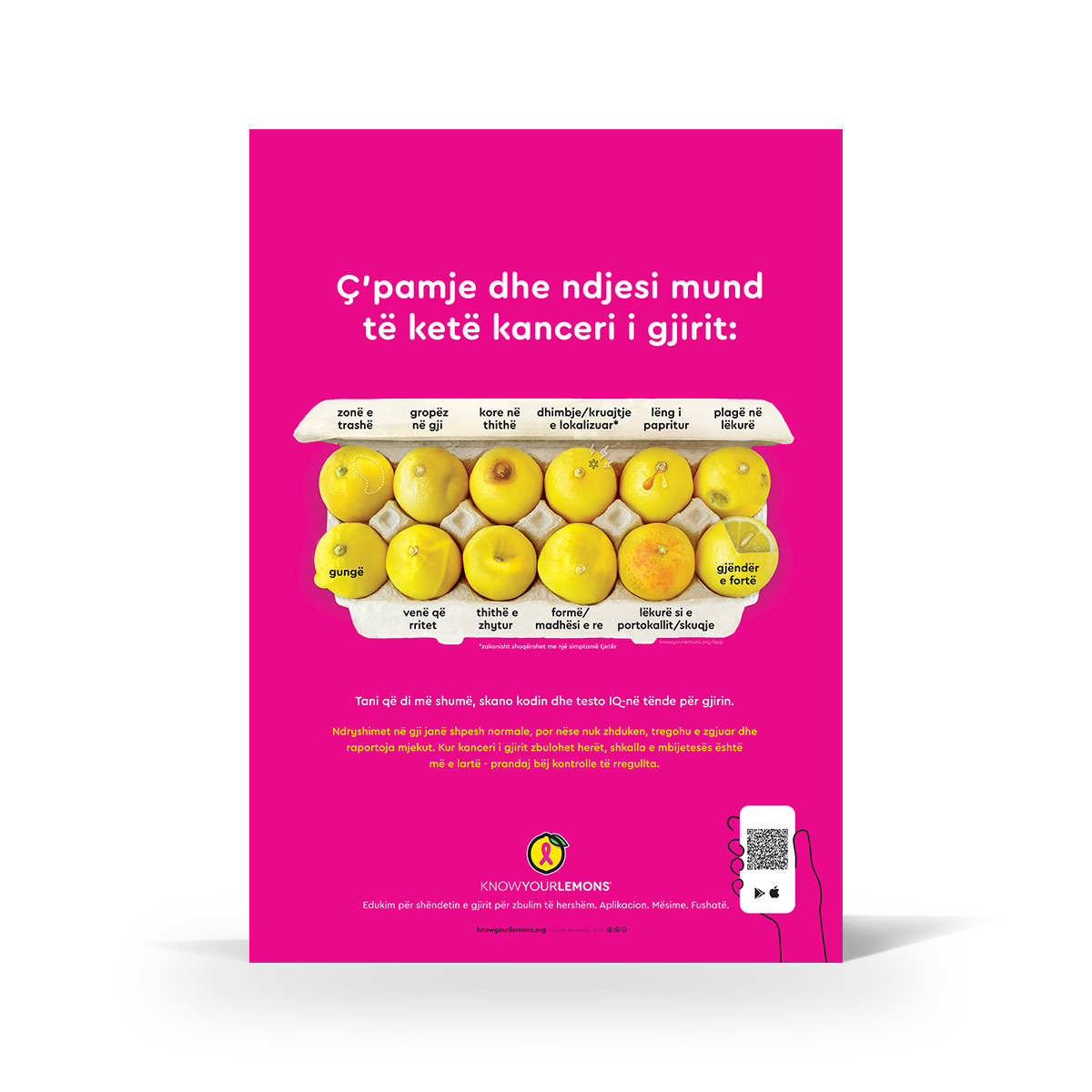 Look + Feel 12 Signs of Breast Cancer Poster (multiple languages)