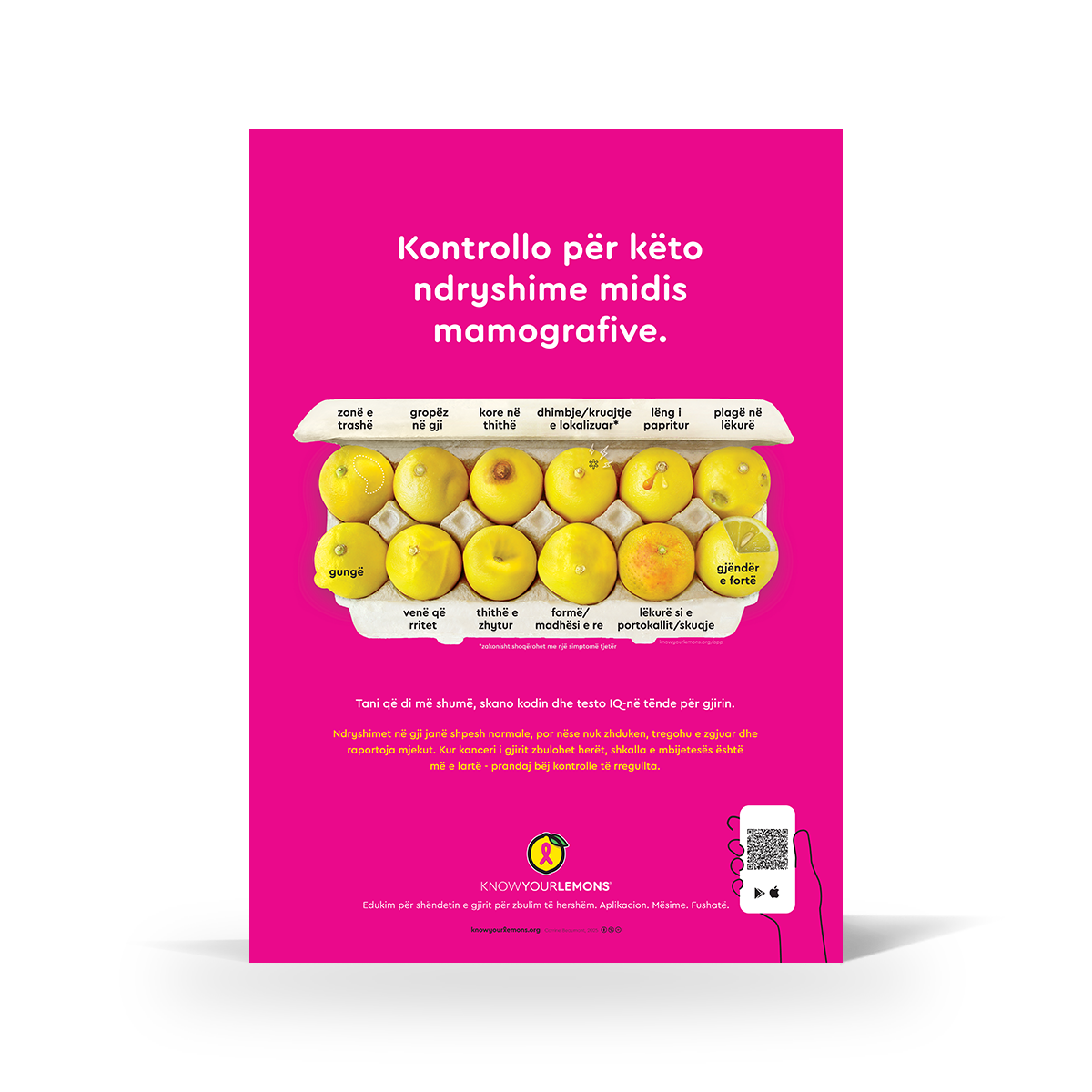 Mammogram 12 Signs of Breast Cancer Poster (multiple languages) - Know Your Lemons Breast Cancer Awareness Shop