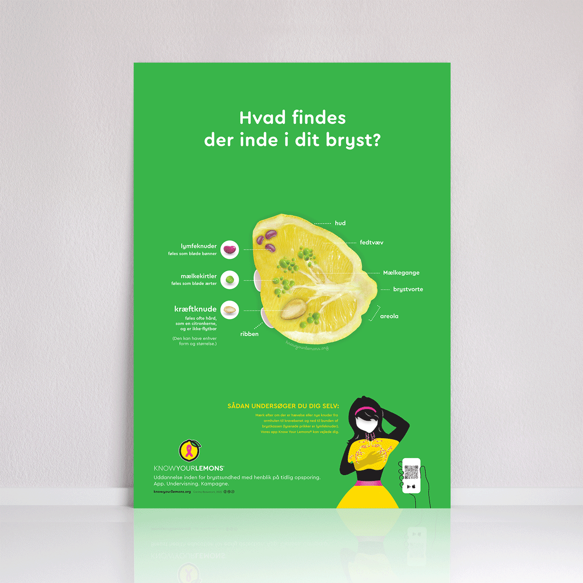 Breast Self-Exam Poster - Know Your Lemons Breast Cancer Awareness Shop