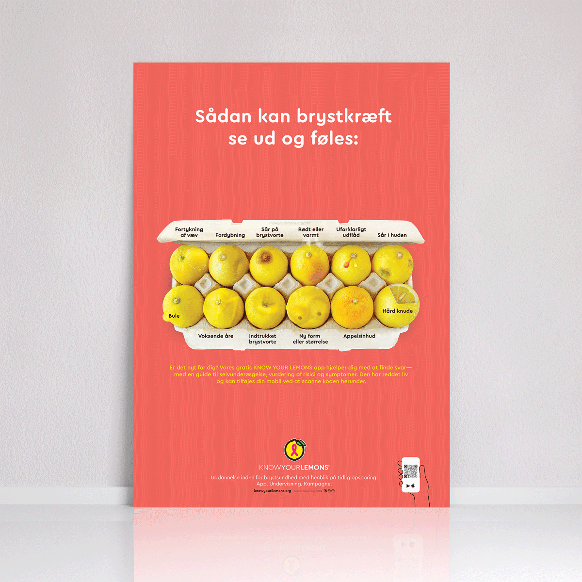 Look + Feel 12 Signs of Breast Cancer Poster (multiple languages) - Know Your Lemons Breast Cancer Awareness Shop