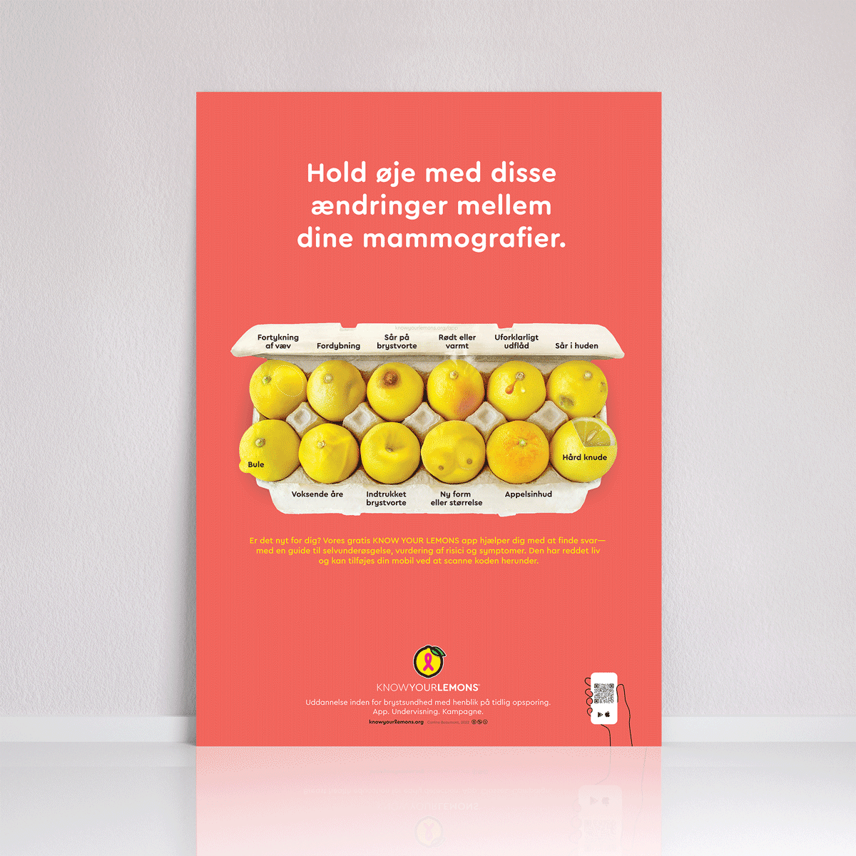 Mammogram 12 Signs of Breast Cancer Poster (multiple languages) - Know Your Lemons Breast Cancer Awareness Shop