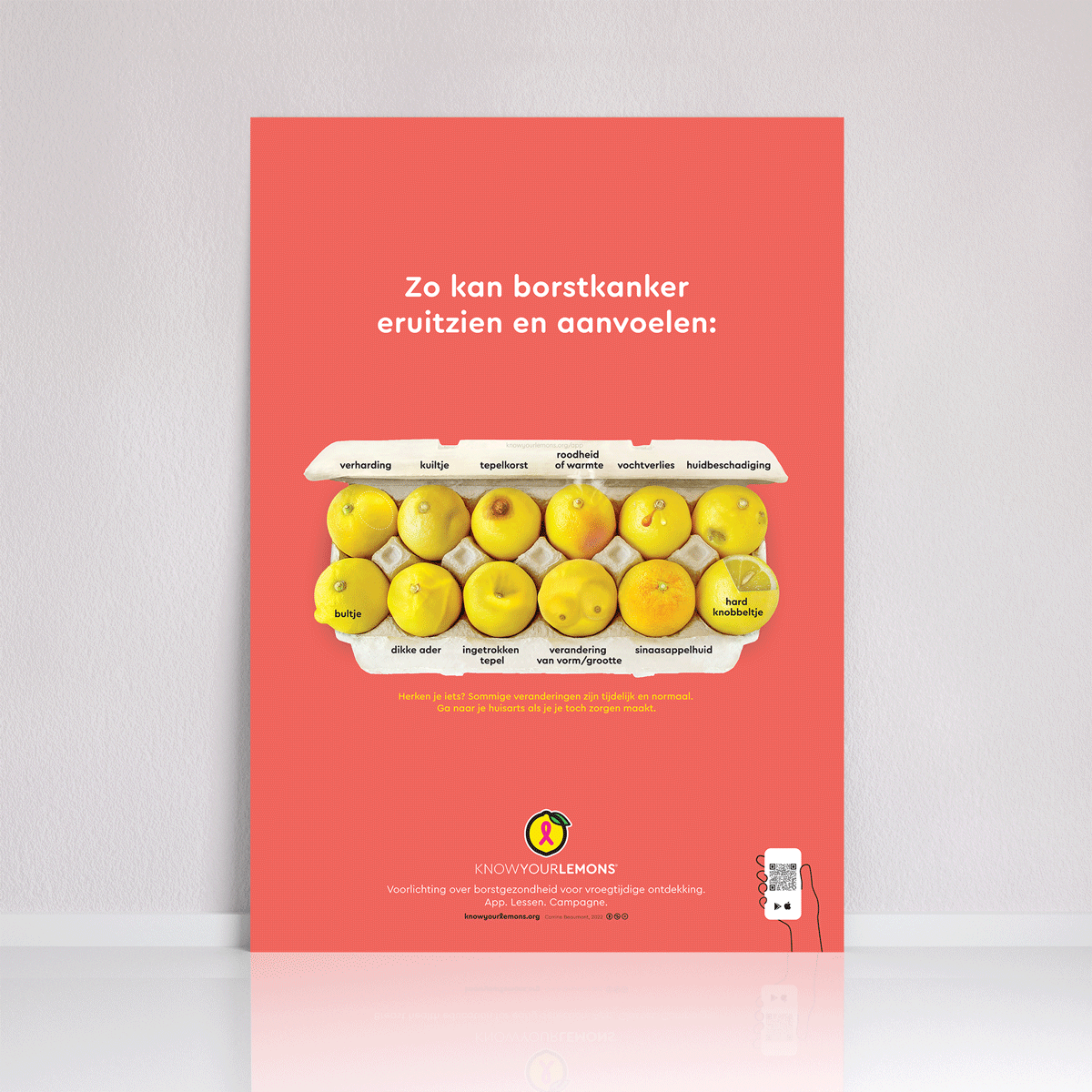 Look + Feel 12 Signs of Breast Cancer Poster (multiple languages) - Know Your Lemons Breast Cancer Awareness Shop