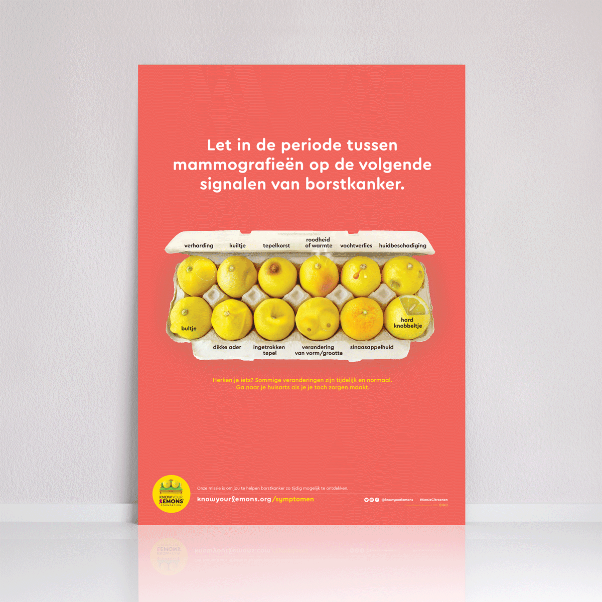 12 Signs of Breast Cancer Poster (multiple languages) - Know Your Lemons Breast Cancer Awareness