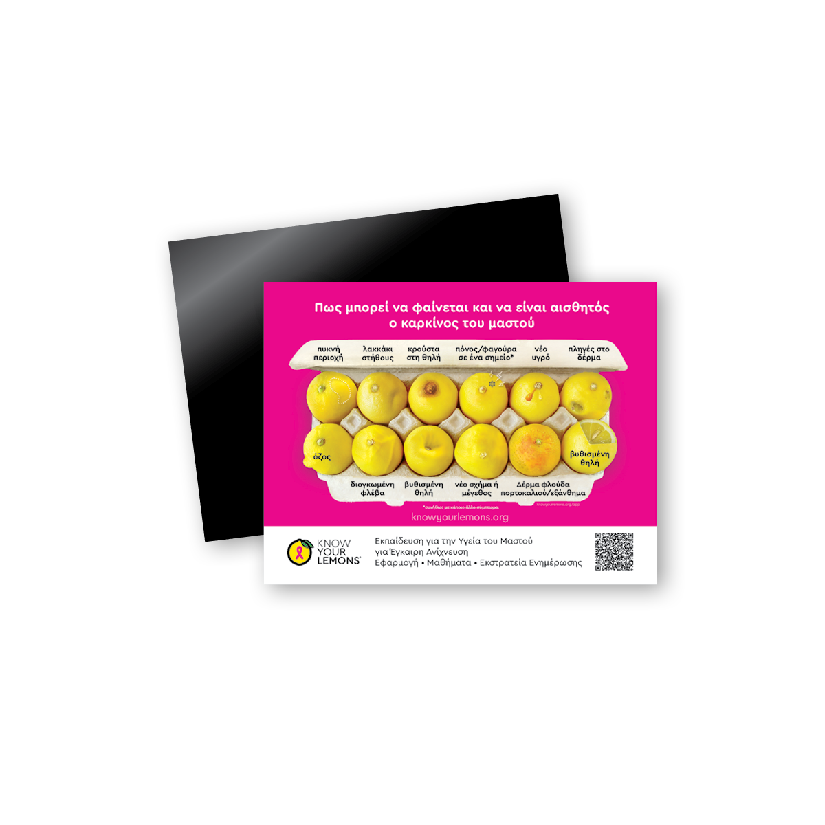 12 Signs of Breast Cancer Magnet (multiple languages)