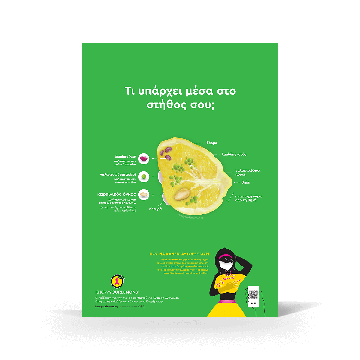 Breast Self-Exam Poster - Know Your Lemons Breast Cancer Awareness Shop