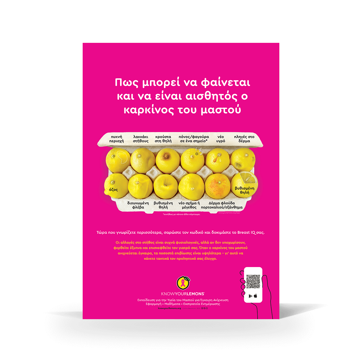 Look + Feel 12 Signs of Breast Cancer Poster (multiple languages) - Know Your Lemons Breast Cancer Awareness Shop