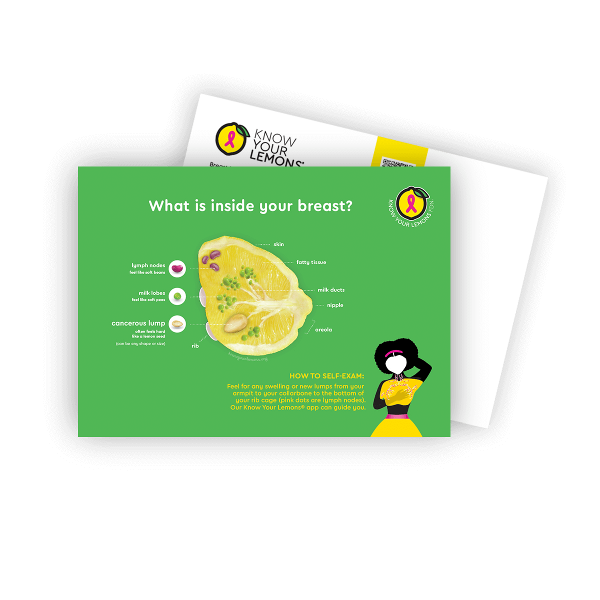 Cobranded Partner Breast Self-Exam Postcard Packs (customizable for partners, multiple languages)