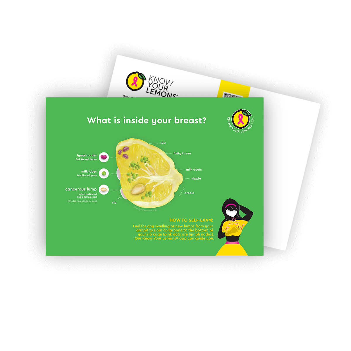 Breast Self-Exam Postcard Packs (multiple languages) - Know Your Lemons Breast Cancer Awareness Shop