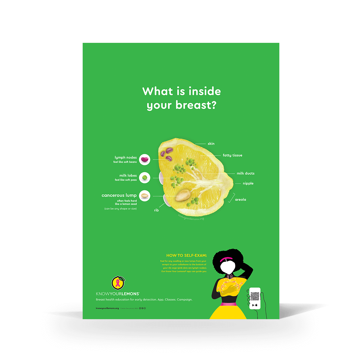 Breast Self-Exam Poster - Know Your Lemons Breast Cancer Awareness Shop