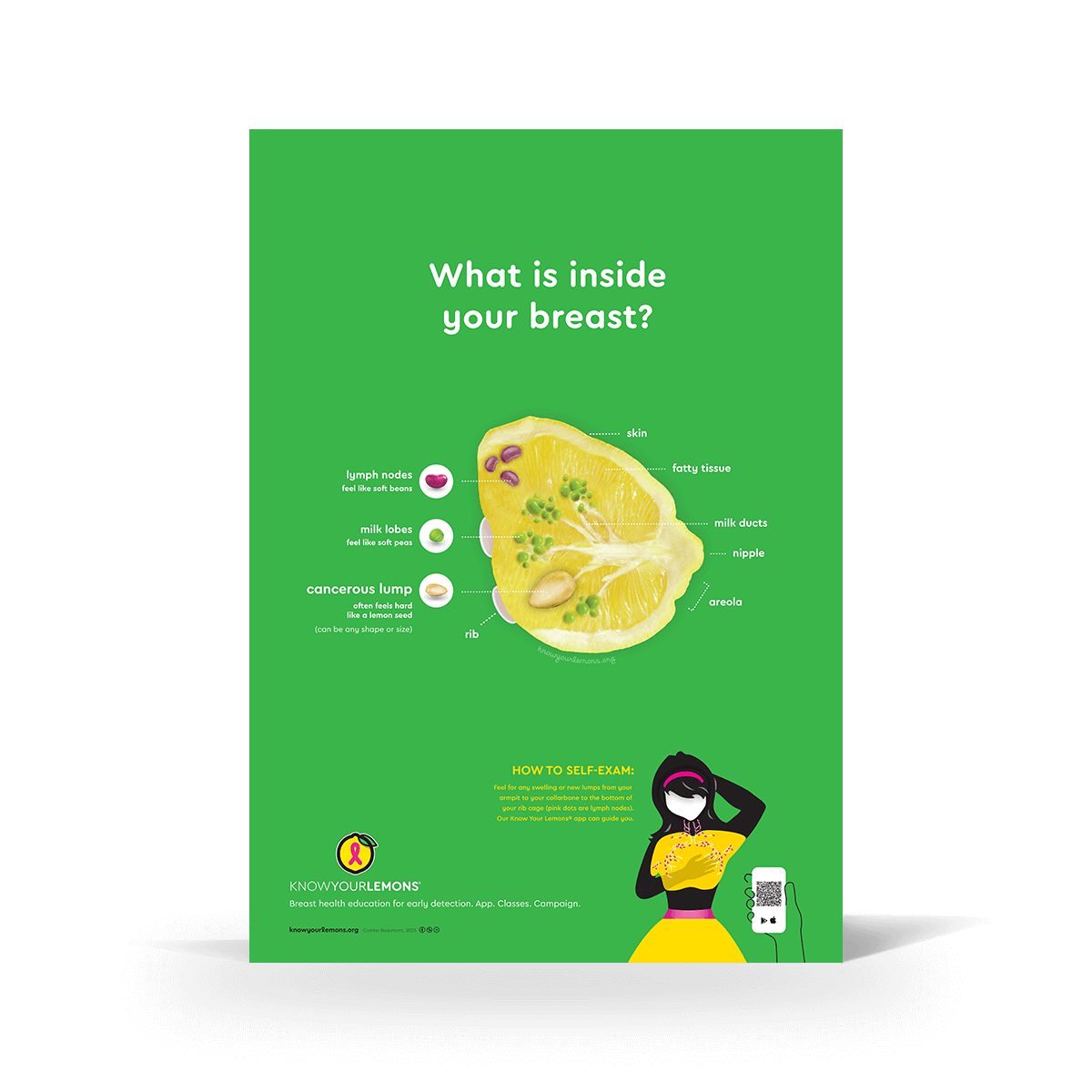 Breast Self-Exam Poster - Know Your Lemons Breast Cancer Awareness Shop