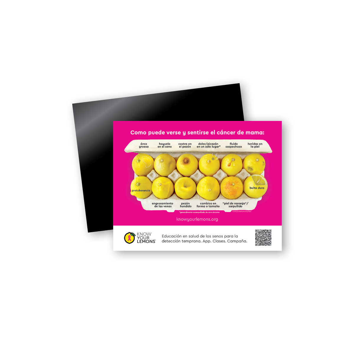 12 Signs of Breast Cancer Magnet (multiple languages)